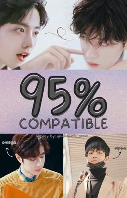 95% Compatible (ZHANYI FF) cover