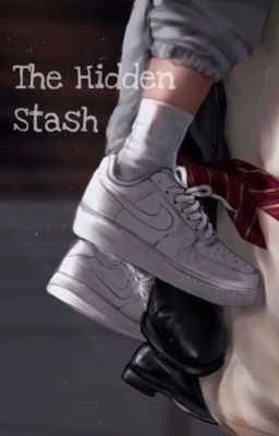 The Hidden Stash cover