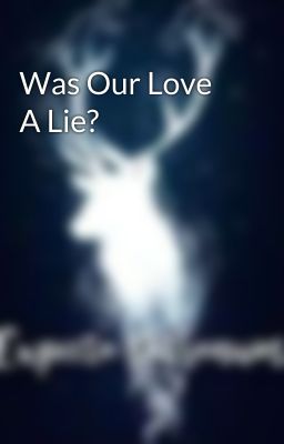 Was Our Love A Lie?  cover