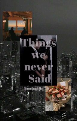 Things We Never Said cover