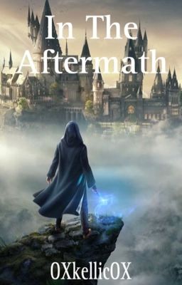 In The Aftermath  cover