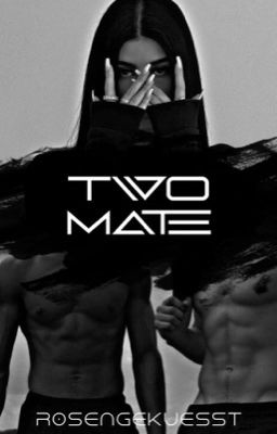 Two Mate cover