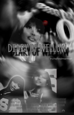 DIARY OF WILLOW  cover