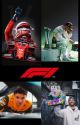 F1 Reader Inserts by DilemmaOnTwoLegs