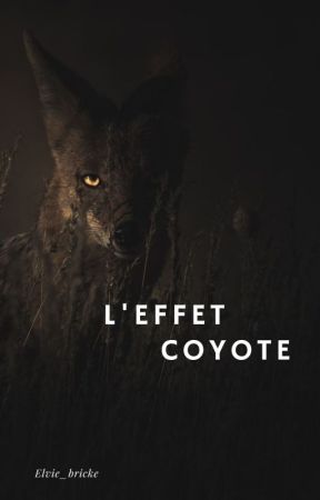 L'effet coyote by Elvie_bricke