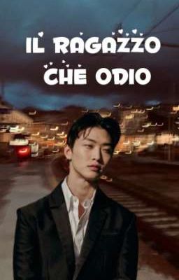 IL RAGAZZO CHE ODIO / MINHO E TU ( XO KITTY )  cover