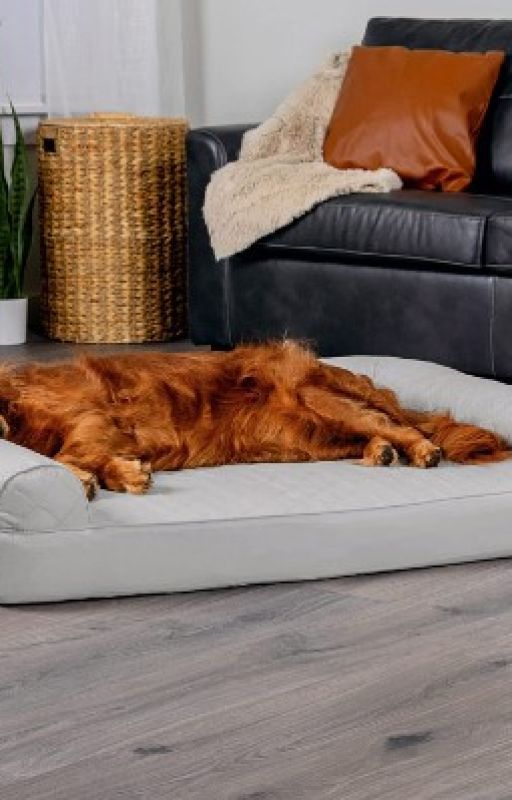 Orthopedic Dog Bed Quilted Sofa by sms2aim