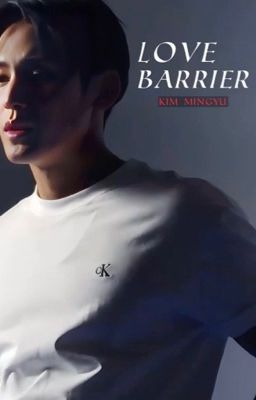 "Love Barrier" |  Kim Mingyu cover