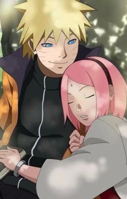 Naruto and Sakura for the next generation  cover