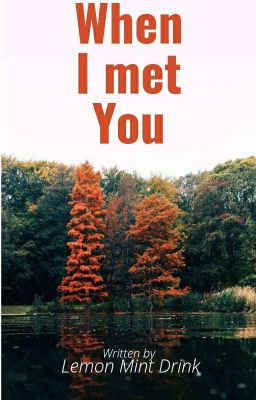 When I Met You (Completed) cover