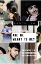 ARE WE MEANT TO BE ? by AditiKarthika