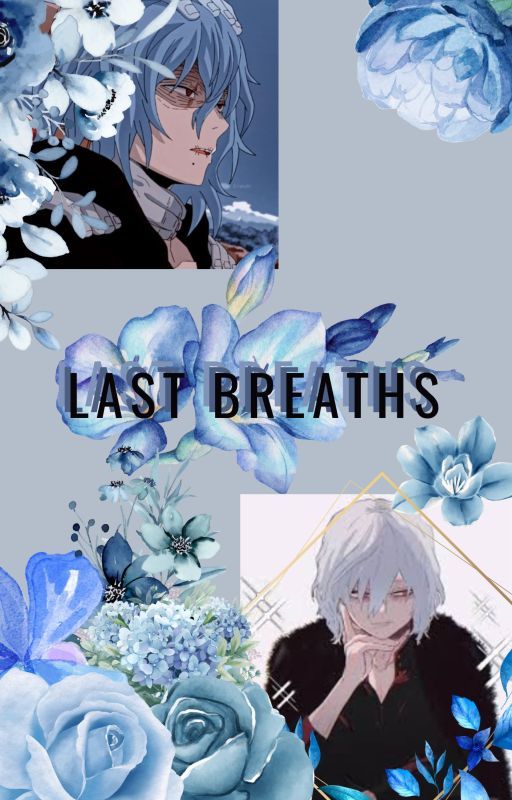 Ｌａｓｔ Ｂｒｅａｔｈｓ┃ Shigiraki x Reader by Lasy_Dayz