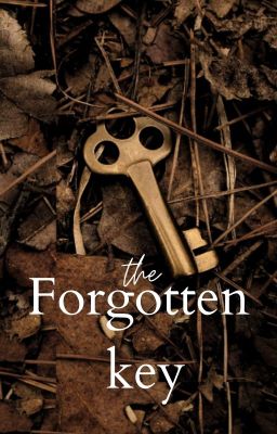 The forgotten key cover