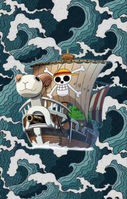 One Piece | new story  cover