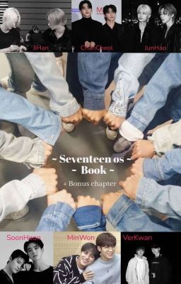 Seventeen OS book cover