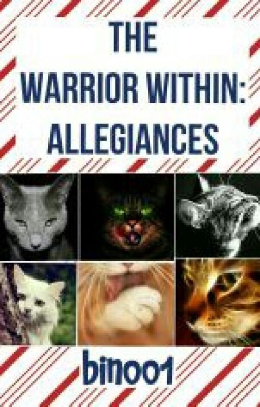 The Warrior Within: Allegiances by binoo1