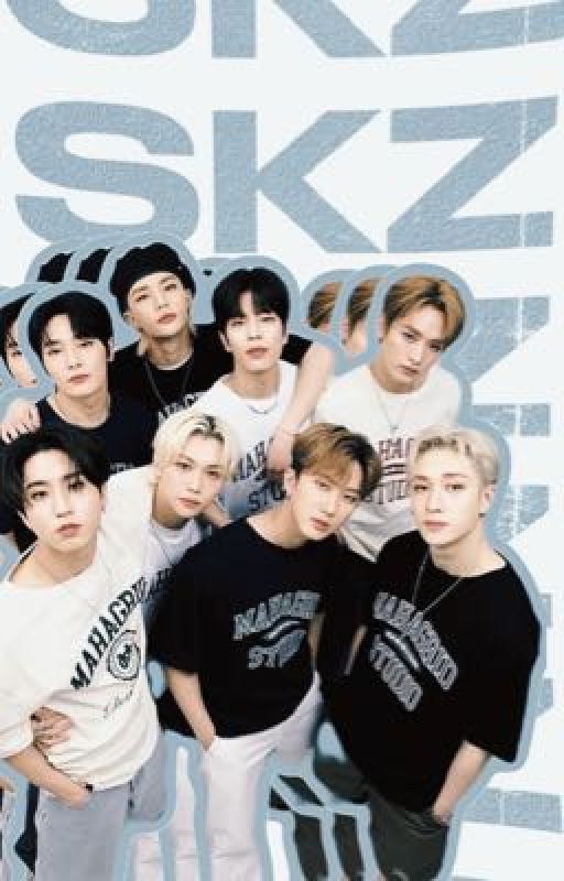 𝐇𝐄𝐑 | stray kids   female reader by NovaBecker1