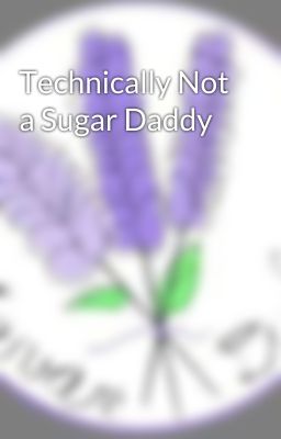 Technically Not a Sugar Daddy cover