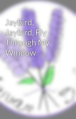 Jaybird, Jaybird, Fly Through My Window cover