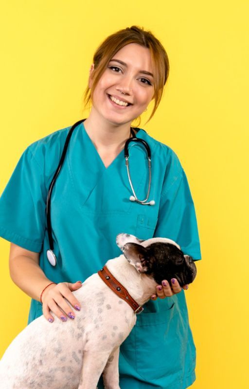 Online Veterinary Resources for Vet Students by Vet_Resources