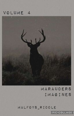 Marauders Imagines || Vol. 4 cover