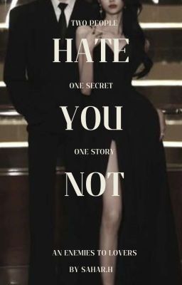 Hate You Not cover