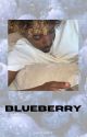 BLUEBERRY | Aj Shabeel by lowveey