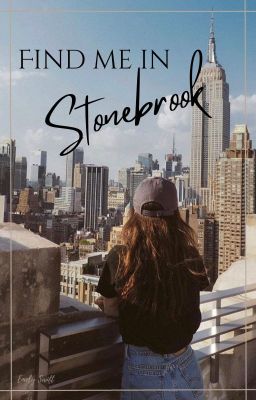 Find me in Stonebrook cover