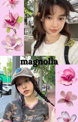 magnolia - daerin cover