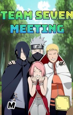 Team Seven Meeting cover