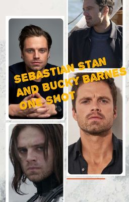 Sebastian Stan one Shots cover