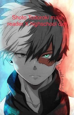 Freezing Heart, Burning Passion (Shoto Todoroki male reader x highschool dxd) cover