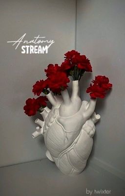 Anatomy stream cover