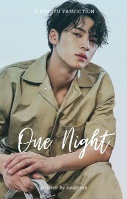 One Night || Mingyu  cover