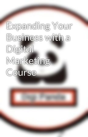 Expanding Your Business with a Digital Marketing Course by NDMITB