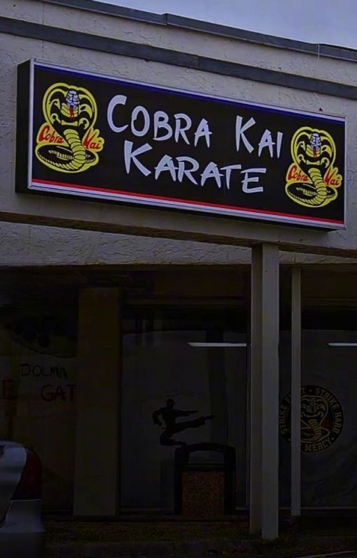 𝐁𝐄𝐂𝐀𝐔𝐒𝐄 𝐈 𝐋𝐈𝐊𝐄𝐃 𝐀 𝐆𝐈𝐑𝐋...|COBRA KAI by Writer_1112