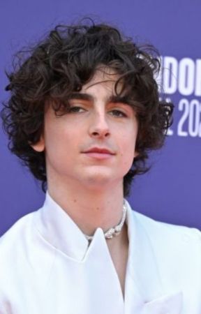 Miniseries About Timothee Chalamet by SufferingStarlight