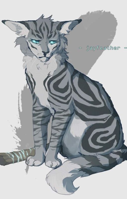 It's wrong, but she is mine!   (Jayfeather X Female Reader) by SAVAGE_GirlFrags