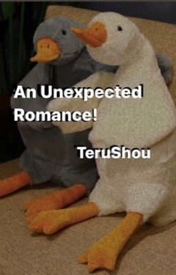 An unexpected Romance! TeruShou cover