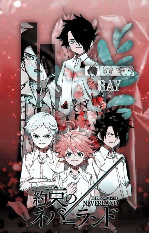 Our Promise-land || The promise Neverland (Oc X ray) by s0fti3eevee