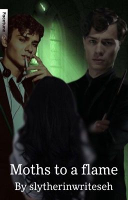 Moths to a flame | Mattheo riddle x tom riddle x reader |  cover