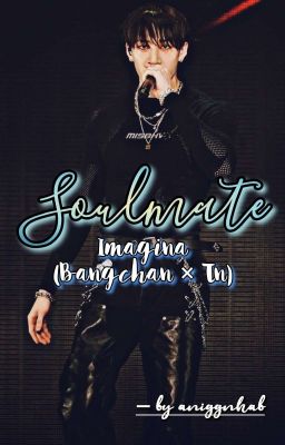 ── ‹ ˖͢⚝·᛫᭻ Soulmate ☇ ₍ Bangchan & T/n ˶ࣳۜۘۜꪶ♡͙۪۫ .. cover