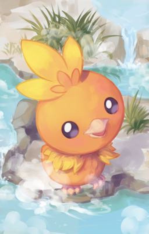 Team Pack: Ember the Torchic by NaughtyCat9