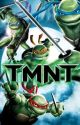 TMNT (2007) Raphael x reader by NatHPLove