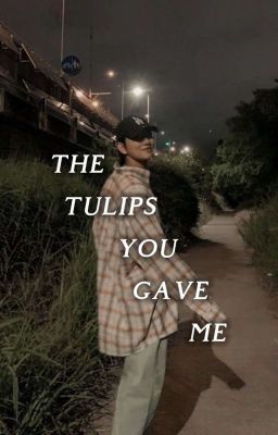 The Tulips You Gave Me (Joshua FF) cover