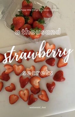 a thousand strawberry secrets cover