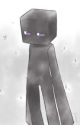 The Special Enderman S1 by PlayerWolf063