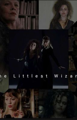 The Littlest Wizard  cover