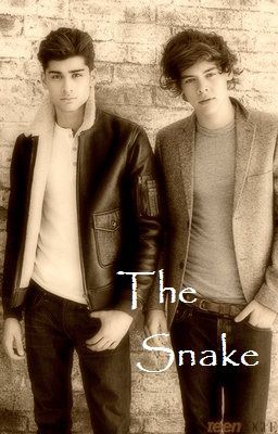 The Snake(One Direction) cover