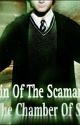 The Slytherin Of The Scamander Family Book 2 (Hermione x Male Reader) by Emione2